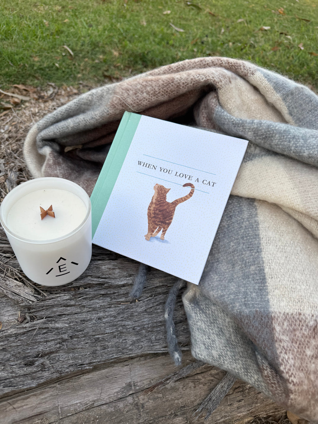 Cosy Love for Cats