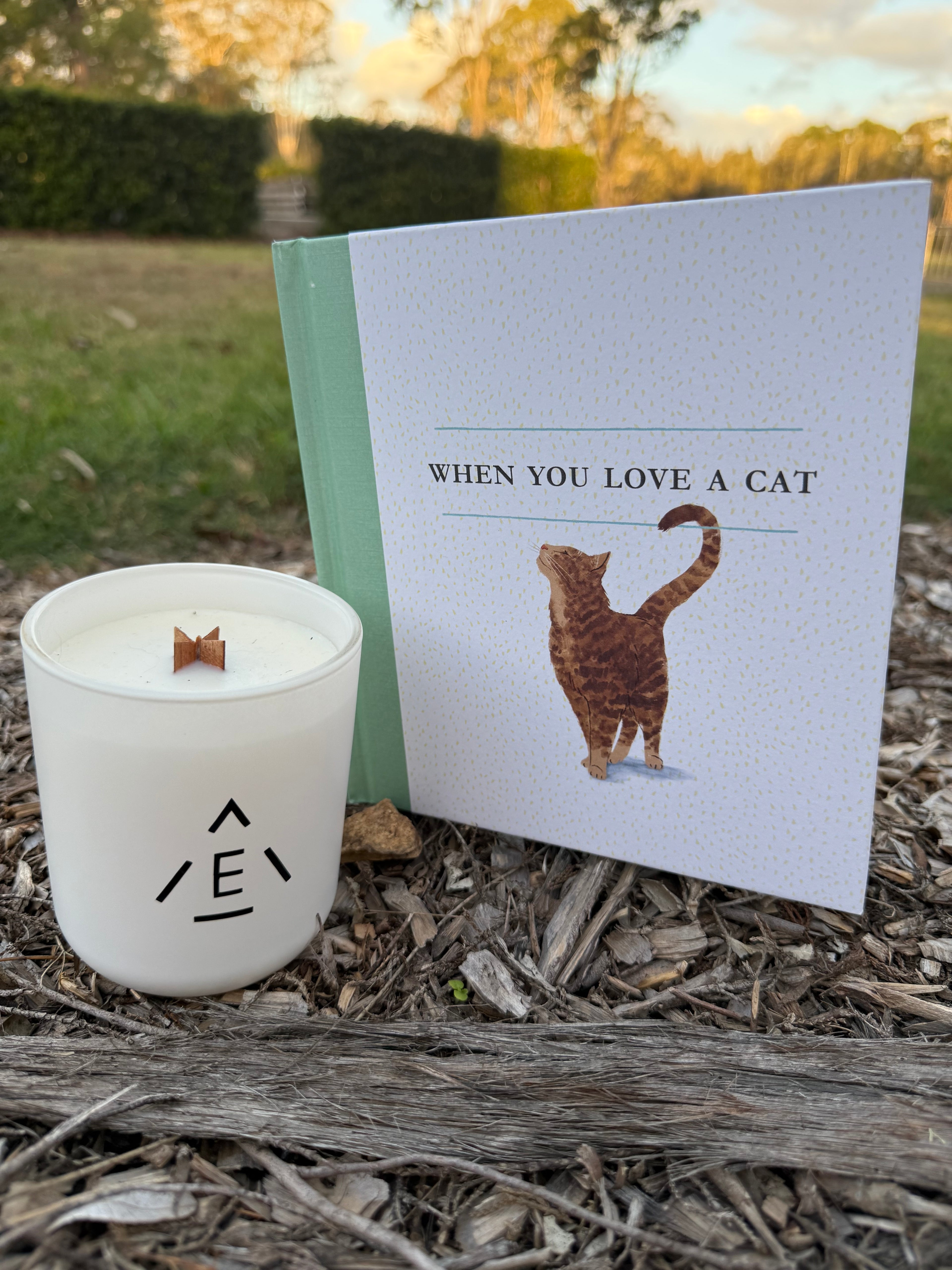Love for Cats