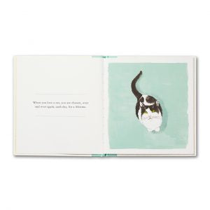Cosy Love for Cats