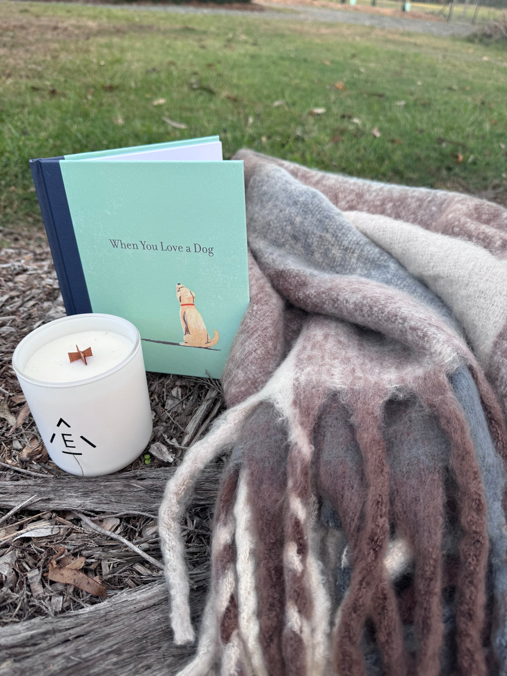 Cosy Love for Dogs