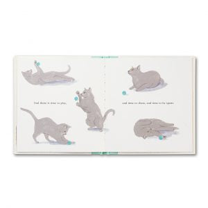 Cosy Love for Cats