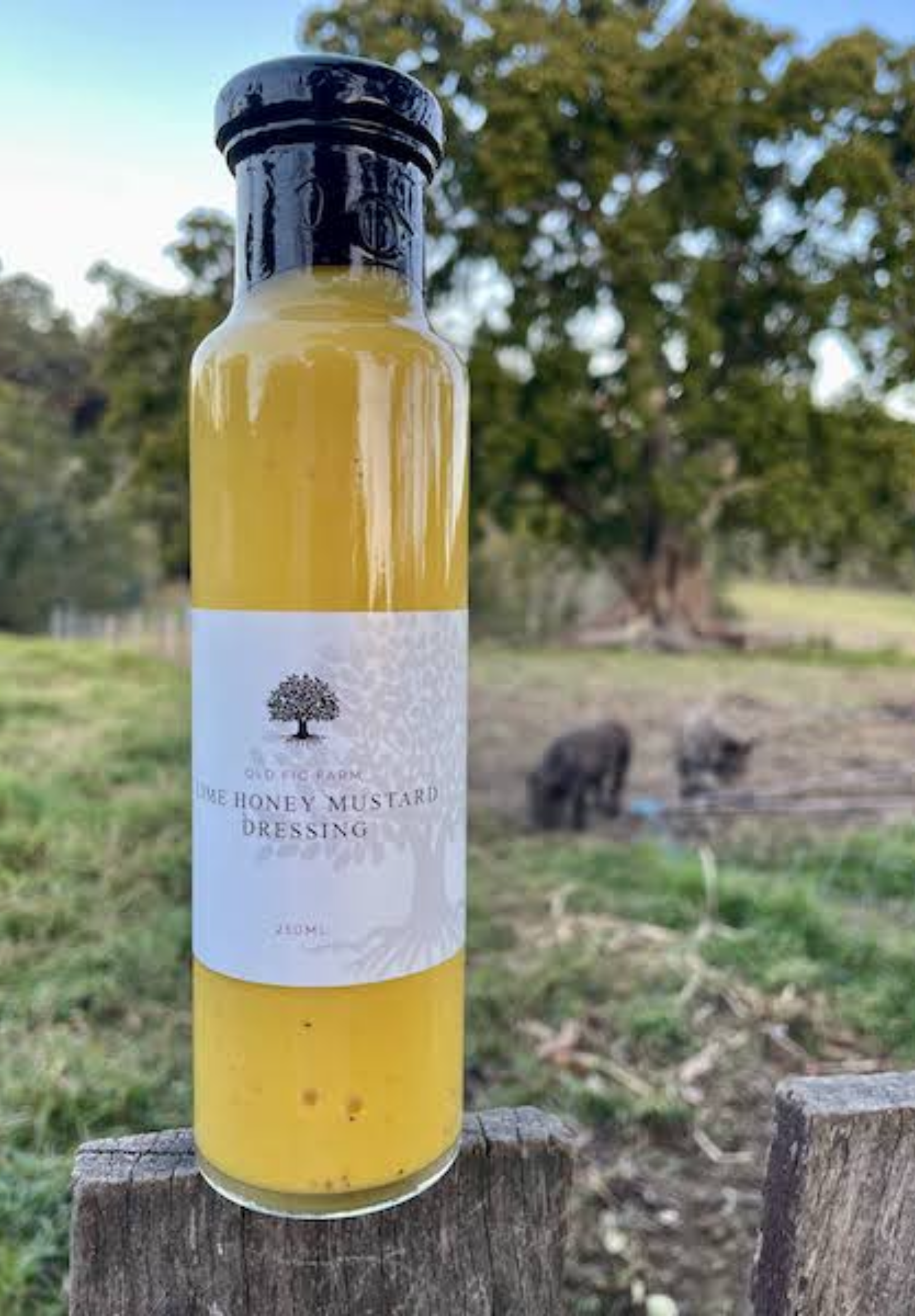 Farm and Honey